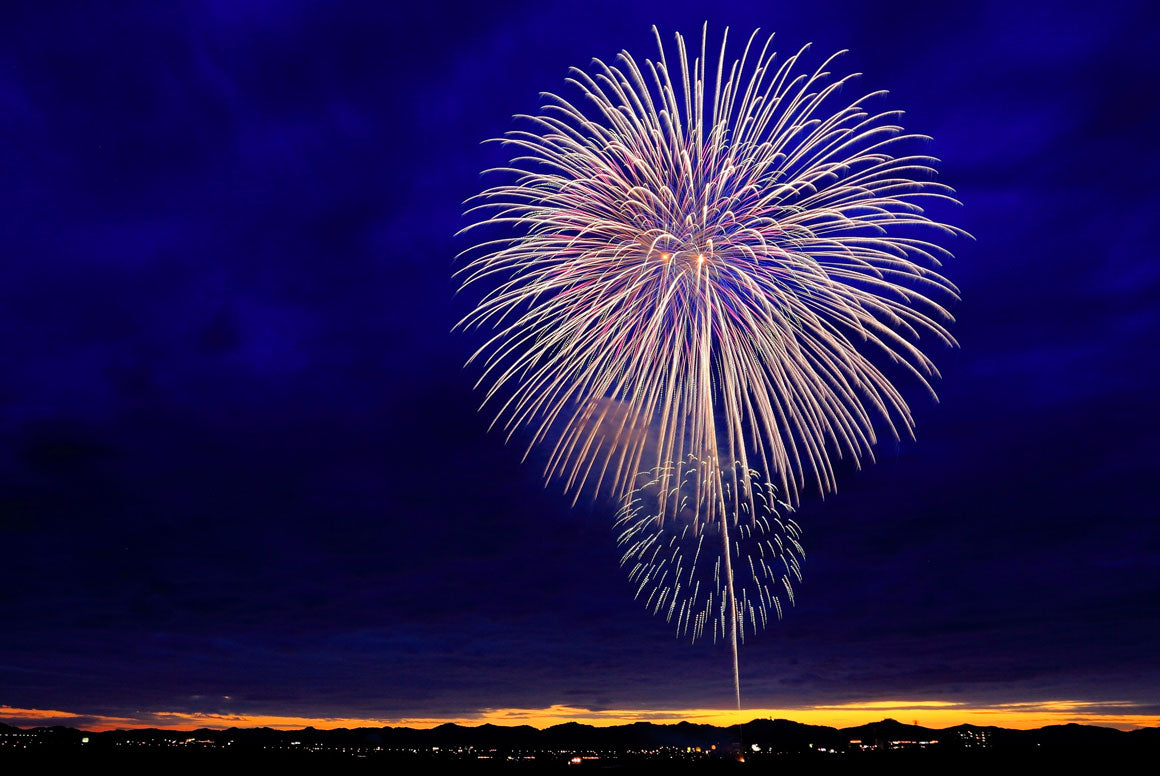 How to Help a Dog Scared of Fireworks
